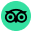 TripAdvisor Reviews