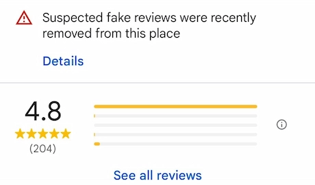 Detection message for Google Review Bot by Google