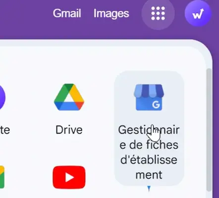 Access to the Business Profile Manager to optimize your Google My Business listing
